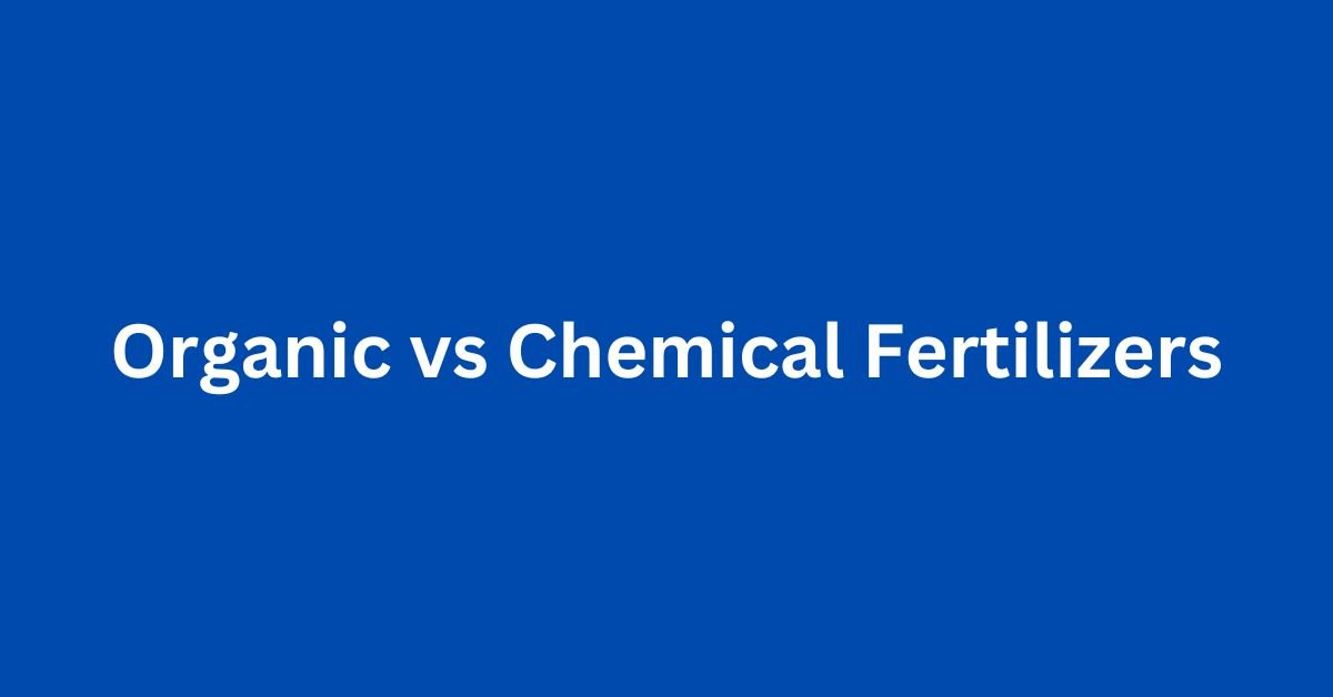 Organic vs Chemical Fertilizers